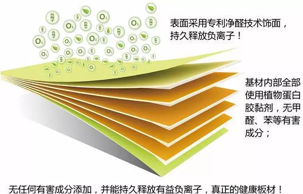 濃情端午,粽葉飄香 環(huán)保生活，健康你我